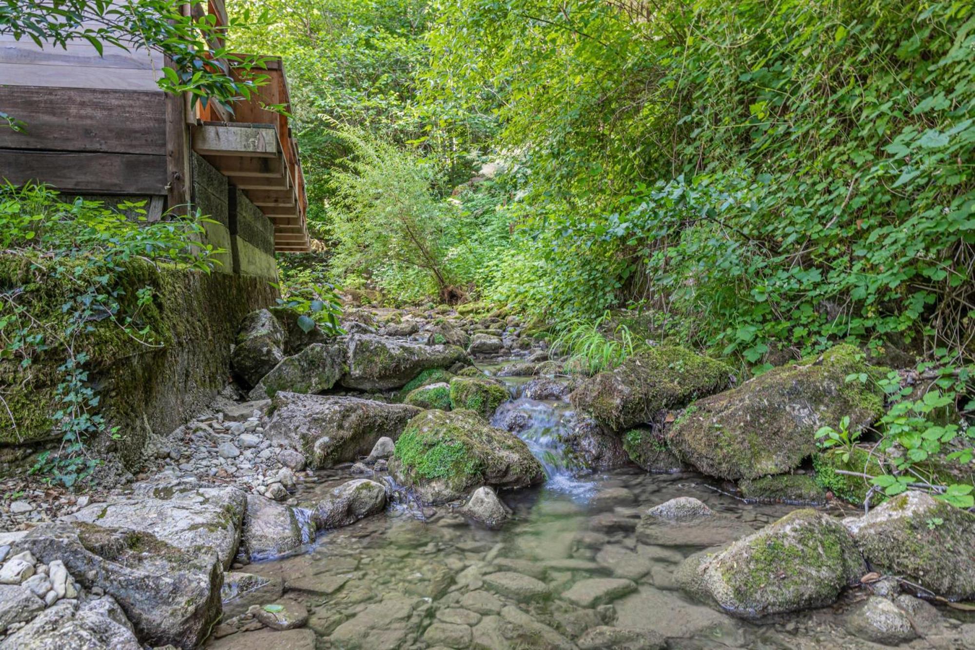 House By The Stream - Happy Rentals Avce Exterior photo